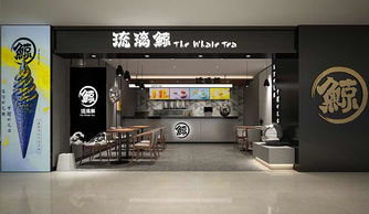 琉璃鯨飲品加盟代理全攻略 加盟費用、條件與聯系方式